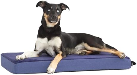 BarkBox Orthopedic Dog Bed