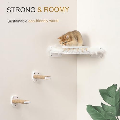 Cat Wall Shelves