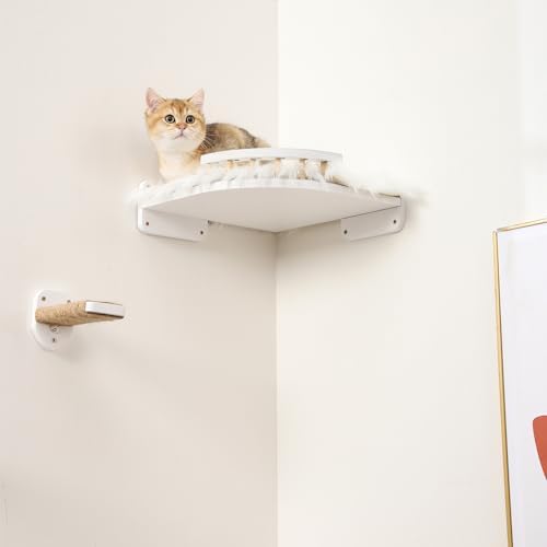 Cat Wall Shelves