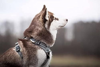 TRUE LOVE Adjustable No-Pull Dog Harness Reflective Pup Vest Harnesses