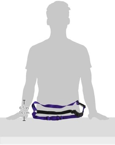 PetSafe Easy Walk Harness, No Pull Dog Harness, Deep Purple