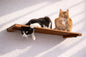 Wall Mounted Cat Shelf