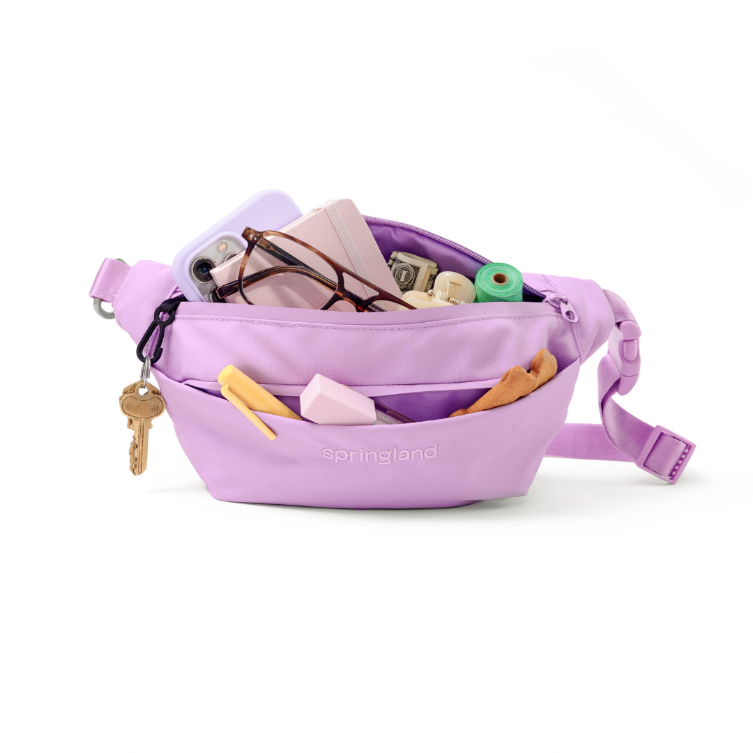 Hands-Free Dog Walking Bag
