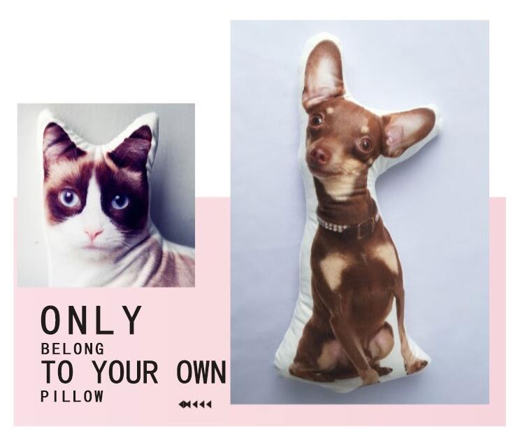 Personalized Customize Pet Pillow