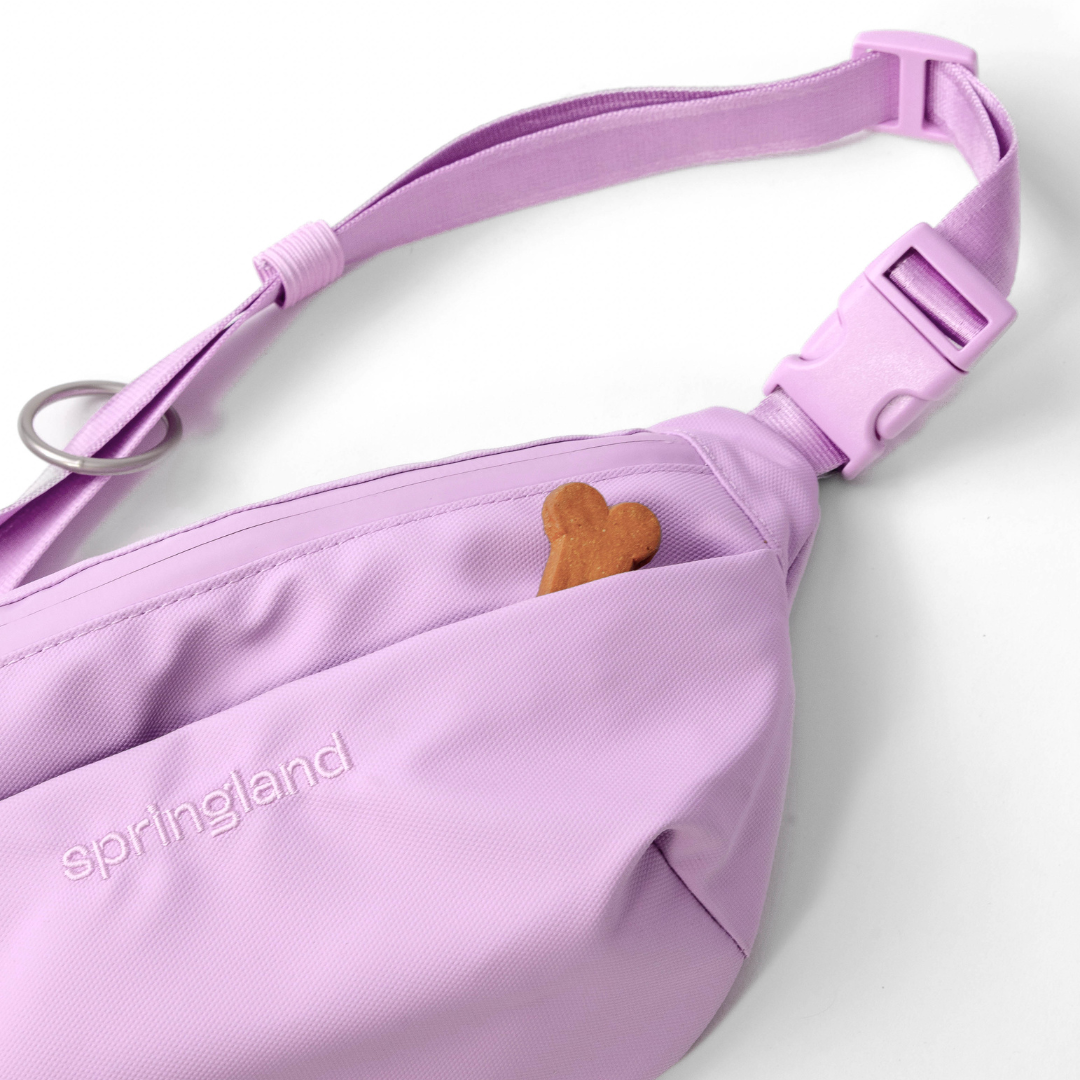Hands-Free Dog Walking Bag