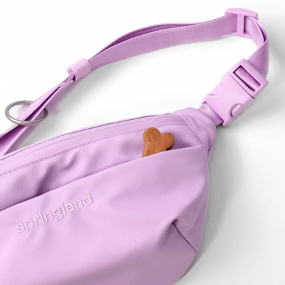 Hands-Free Dog Walking Bag