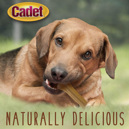 Cadet Pressed Rawhide Bones 6.5" Dog Chews 12 Pack Long Lasting Beef Hide