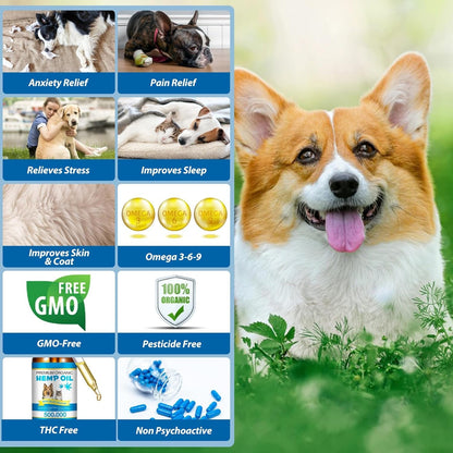 Hemp Oil for Dogs & Cats — Calming, Joint & Skin Support | 60ml Daily Supplement