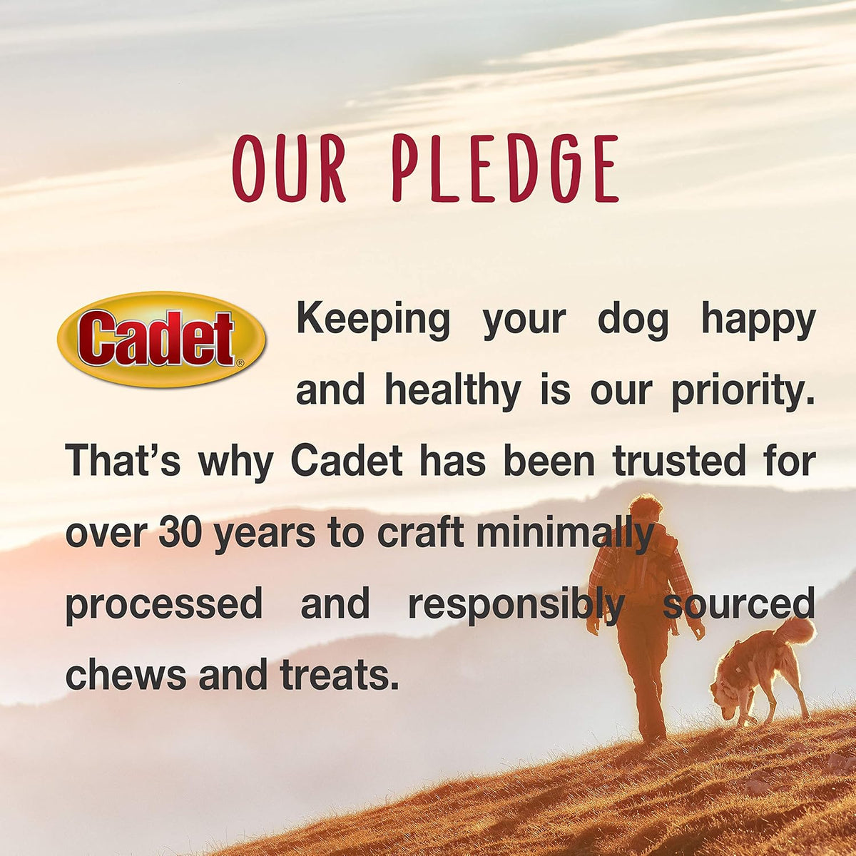 Cadet Pressed Rawhide Bones 6.5" Dog Chews 12 Pack Long Lasting Beef Hide