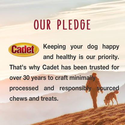 Cadet Pressed Rawhide Bones 6.5" Dog Chews 12 Pack Long Lasting Beef Hide