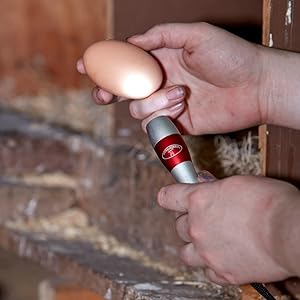 Little Giant LED Egg Candler Hatching Poultry