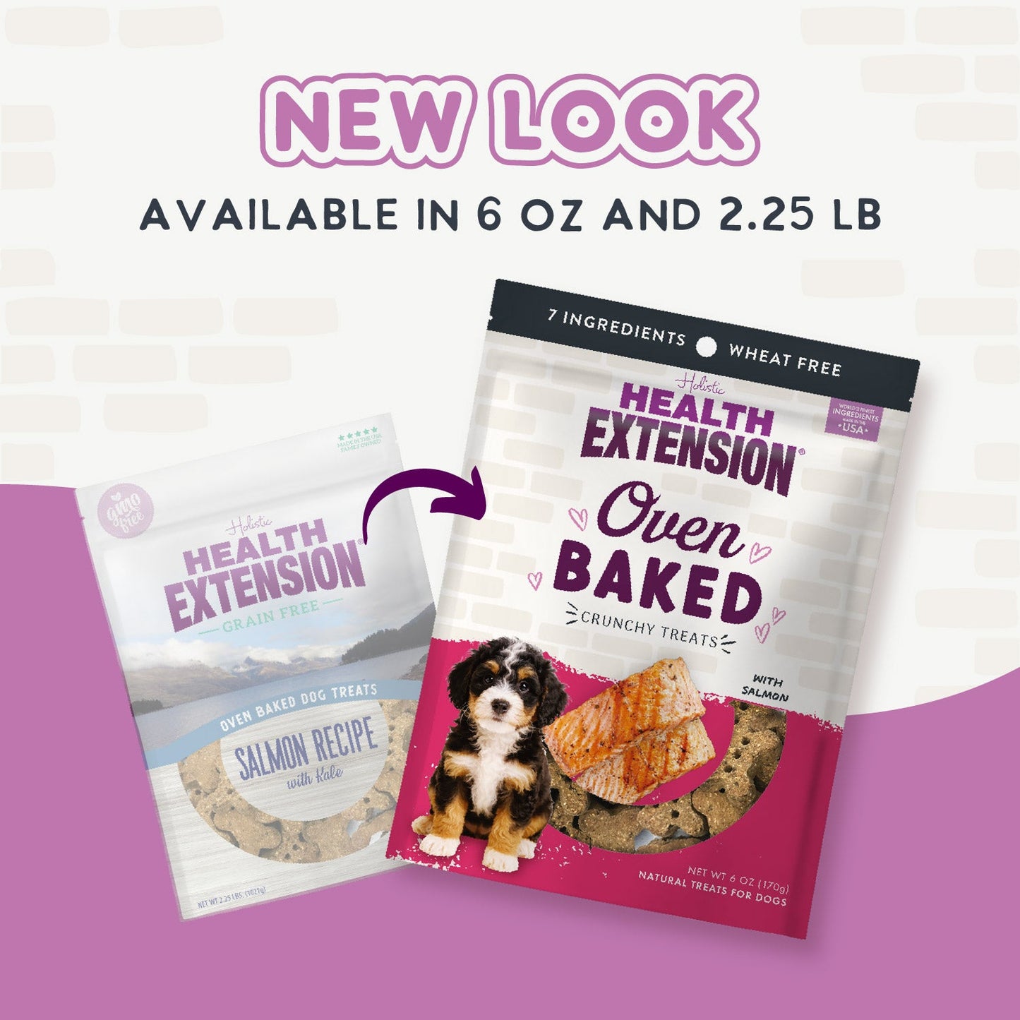 Oven Baked Salmon Treats