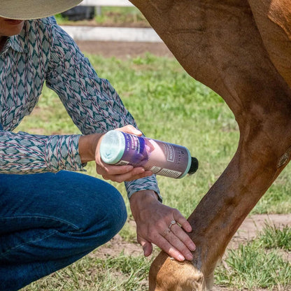Equiderma Horse Skin Lotion for Rain Rot