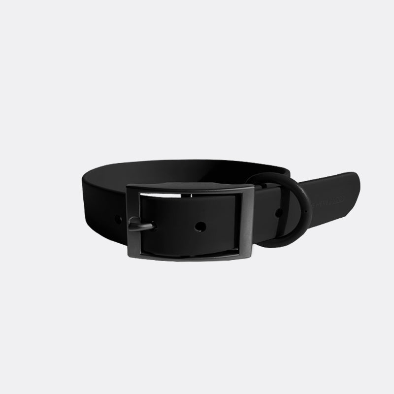 Everyday Collar