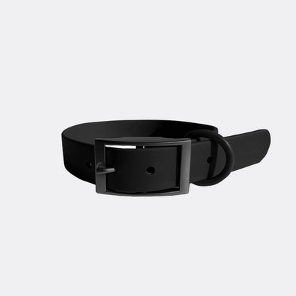 Everyday Collar