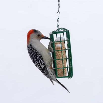 C&S Berry Suet Treat Bird Cake 11.75 oz & Large Suet Basket Feeder Combo
