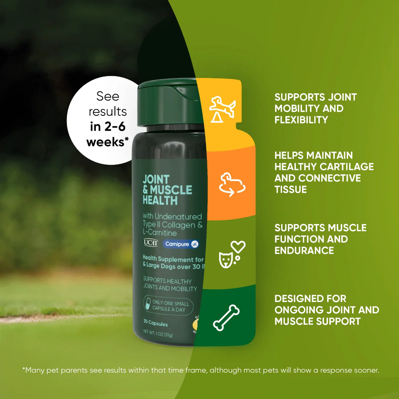 Joint & Muscle Health (Medium & Large Dogs)