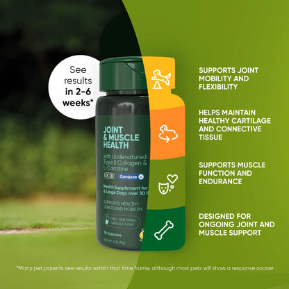 Joint & Muscle Health (Medium & Large Dogs)