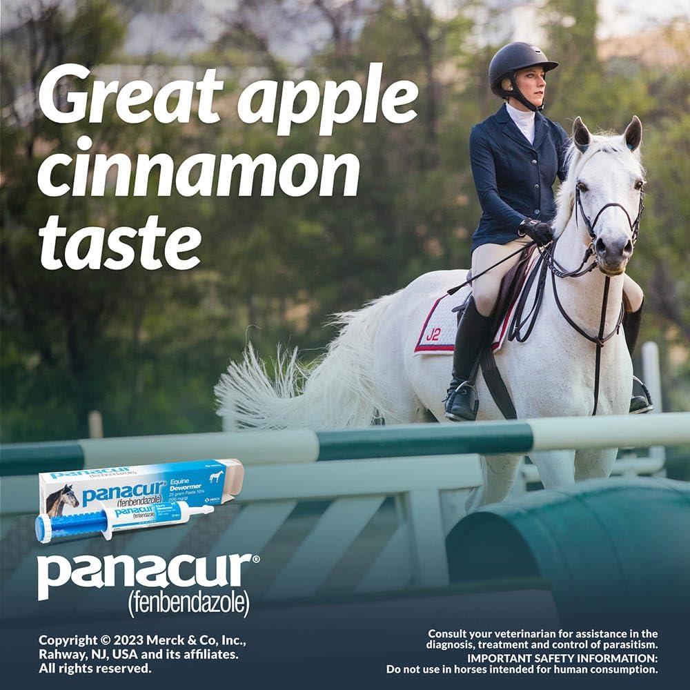 Panacur Equine Paste 10% Horse Wormer 100mg 1 x 25 Grams
