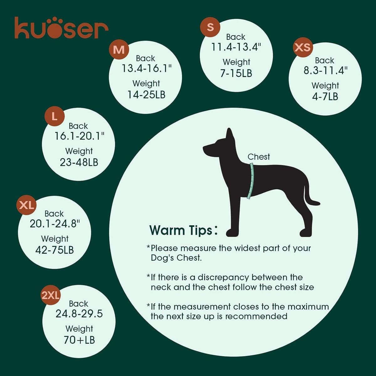 Female Dog Recovery Suit After Spay, XS–2XL