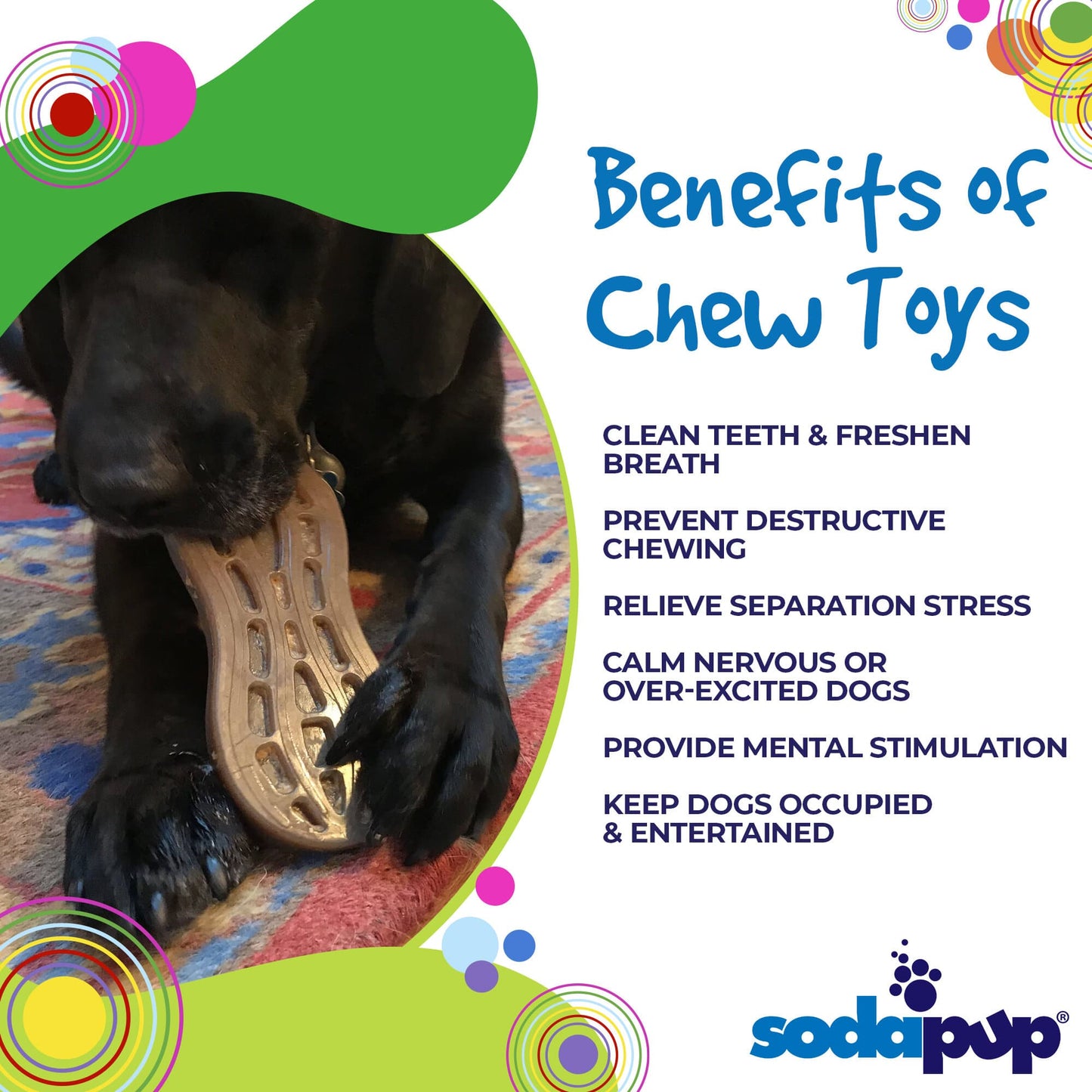 Peanut Nylon Dog Chew Toy | Ultra-Durable for Aggressive Chewers | SodaPup