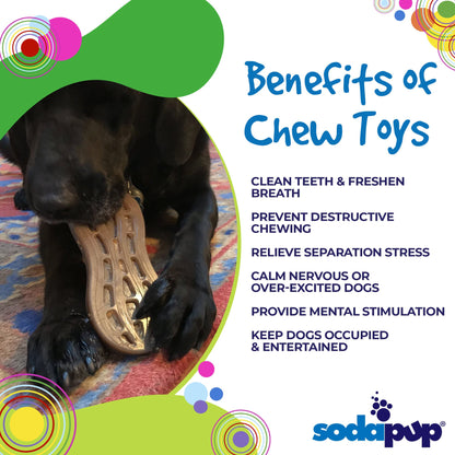 Peanut Nylon Dog Chew Toy | Ultra-Durable for Aggressive Chewers | SodaPup