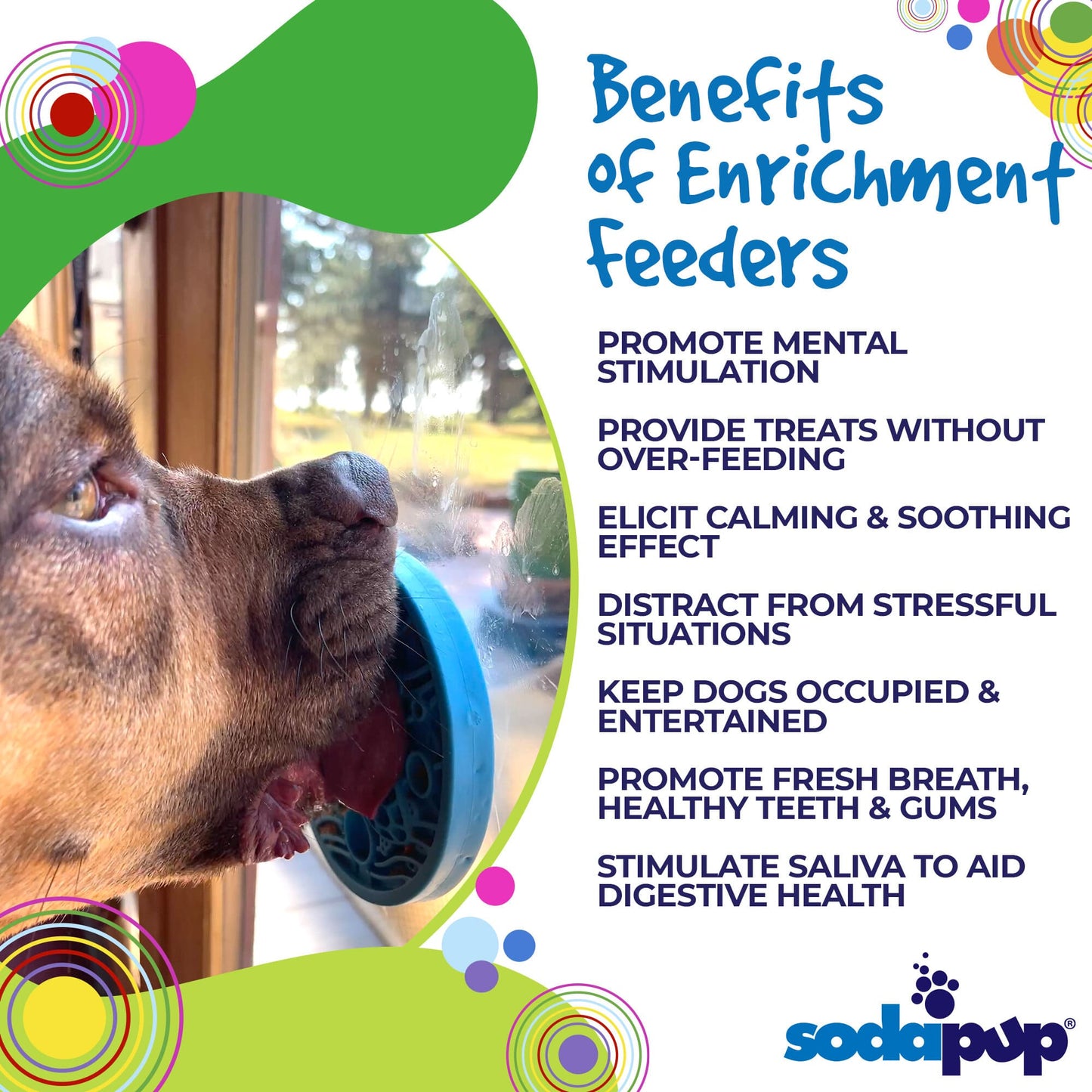 Turtle eMat-Mini Lick Mat with Suction Cups - Small Dogs & Cats | USA