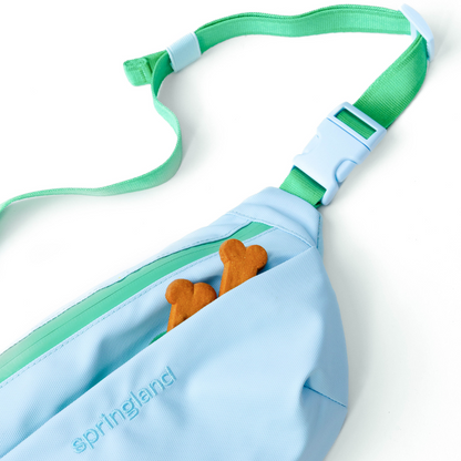 Hands-Free Dog Walking Bag