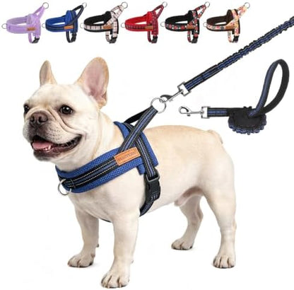 BEAUTYZOO Dog Harness Medium Sized and Leash Set, No Pull Step in Pet Vest