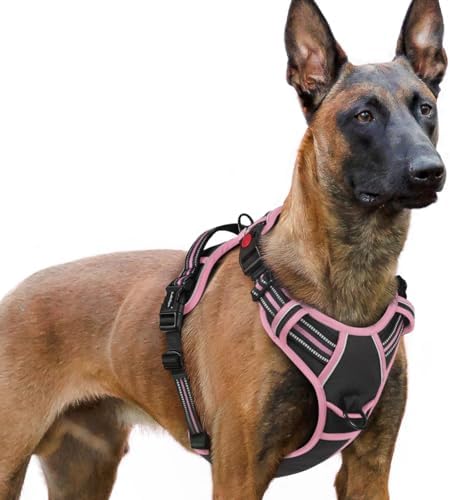 rabbitgoo Dog Harness for Large, Updated Easy On & Off