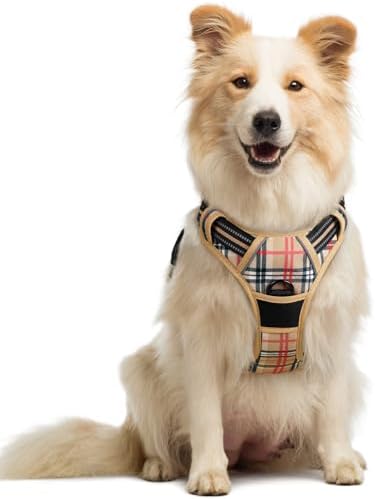 rabbitgoo Dog Harness, No Pull Medium Sized