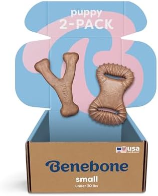 Benebone Puppy 2-Pack Dental Chew/Wishbone Dog Chew Toys, Real Bacon