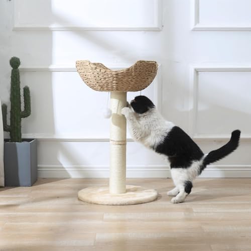 SHENGOCASE 2-Pack Small Cat Tree Tower