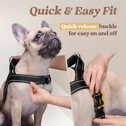 rabbitgoo Dog Harness No Pull, Quick Fit