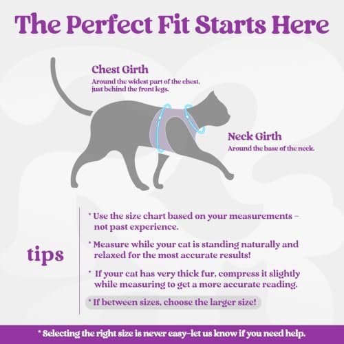 rabbitgoo Cat Harness and Leash Set, Step-in Soft Vest