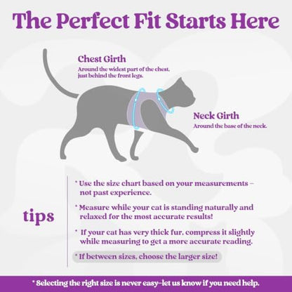 rabbitgoo Cat Harness and Leash Set, Step-in Soft Vest