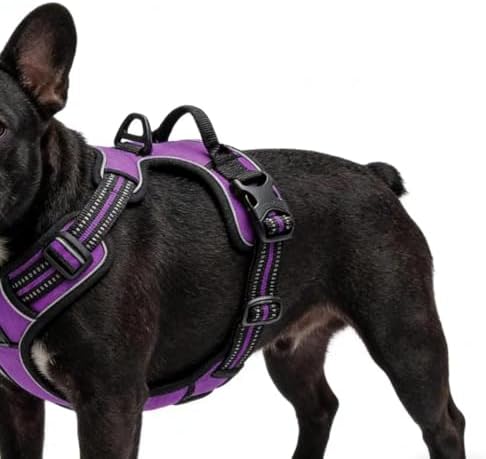 Purple No-Pull Dog Harness