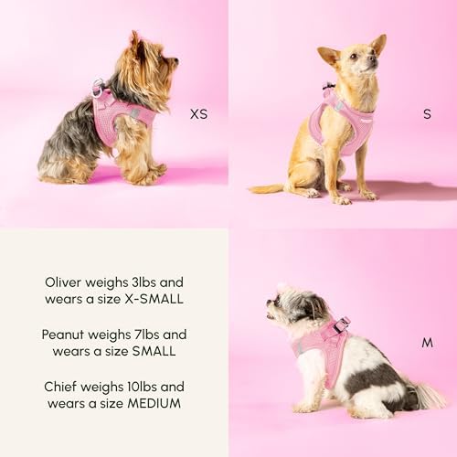 Downtown Pet Supply Step-in Dog Harness – No Pull, Adjustable Padded Mesh