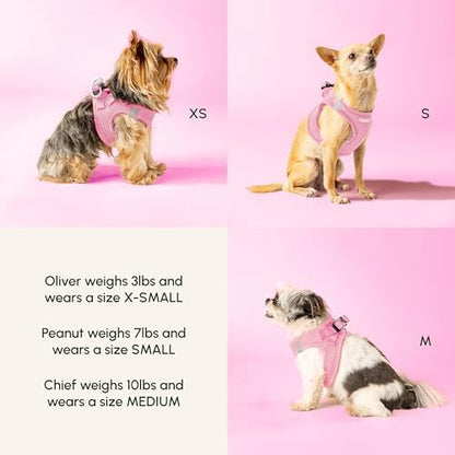 Downtown Pet Supply Step-in Dog Harness – No Pull, Adjustable Padded Mesh