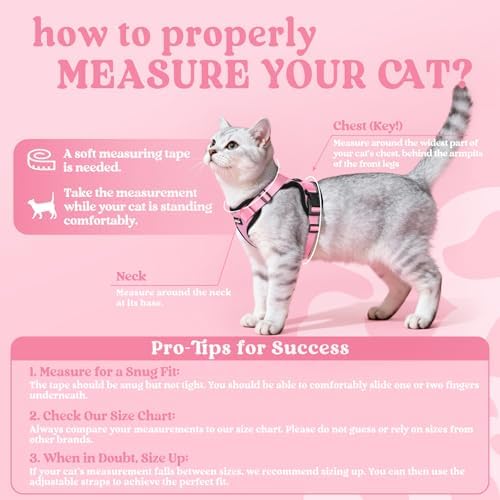 rabbitgoo Cat Harness and Leash Set, Escape Proof Vest