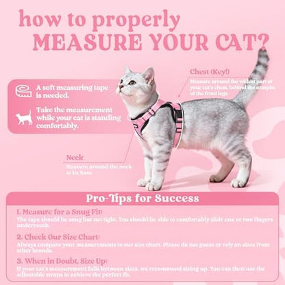 rabbitgoo Cat Harness and Leash Set, Escape Proof Vest
