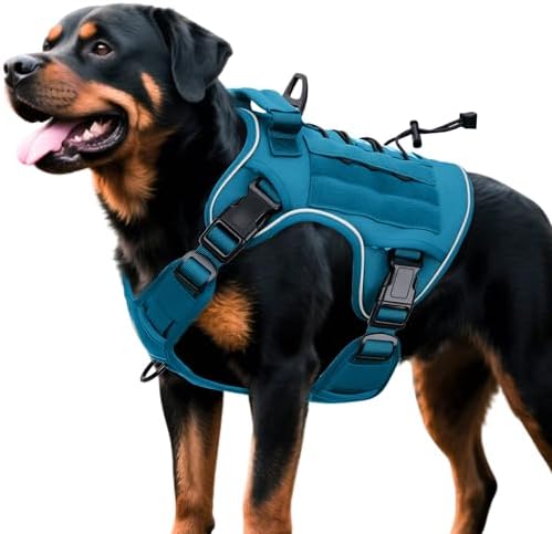 Heavy-Duty Tactical Dog Harness