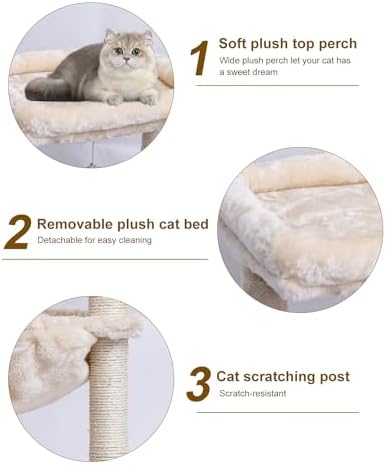 SYANDLVY Small Cat Tree for Indoor Cats, Activity Cat Tower