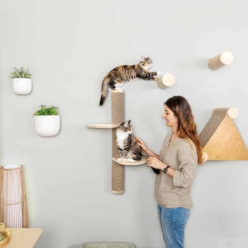 Cat Climbing Wall System – Modern Floating Shelves & Perches
