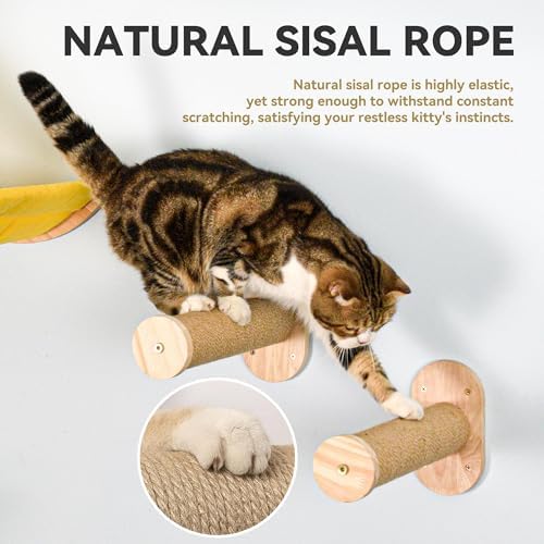 Wall Cat Bed Moon Hammock Wall Mounted Shelf