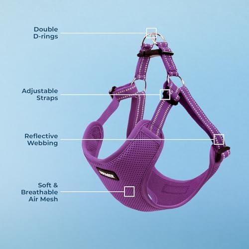 Voyager Step-in Flex Adjustable Dog Harness