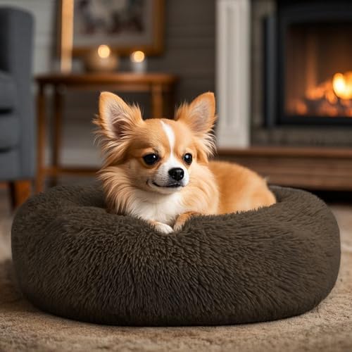 Hoewina Dog & Cat Bed, 20in Cat Beds
