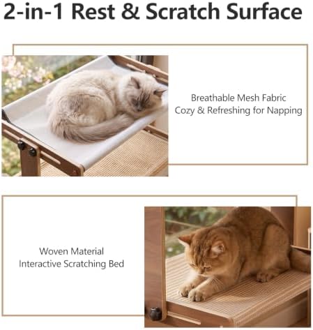 Marchul 2-Tier Cat Window Perch, Window Mount Suction Cup Cat Hammoc