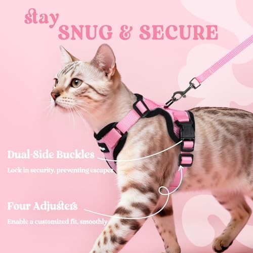 rabbitgoo Cat Harness and Leash Set, Escape Proof Vest