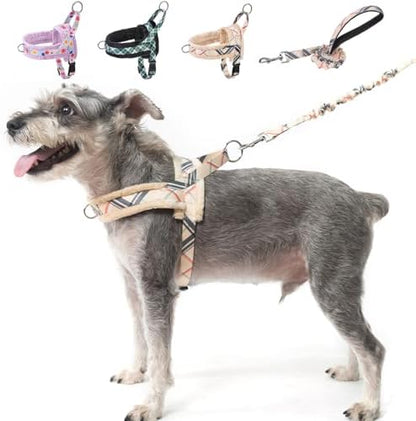 BEAUTYZOO No Pull Medium Dog Harness and Leash Set, Soft Puppy Vest Harness